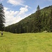 bei der Grabneralm