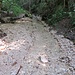 Il torrente Pedana della madonna pieno d'acqua.