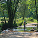 An der Hoegne