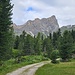 Aufstieg mit Blick zum Wasserkofel