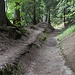 letzte Passage vor Arbaz - die Suone leider im trockenen - das Wasser wurde kurz vor Arbaz ins Tal umgeleitet...