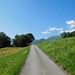 sul percorso in salita, sempre asfaltato