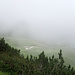 Grossalp im Nebel