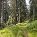 Auf den Kammhöhen stehen jetzt oft Windturbinen. Der Westweg führt jeweils in der Flanke daran vorbei.<br /><br />