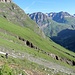 Kurz nach der Wegkreuzung. Im Rückblick hinter Toni der Bereich, wo es den Weg verschüttet hat.