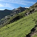 Bald in der Felszone