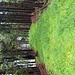 Der unscheinbare höchste Punkt vom Haargaßberg.
