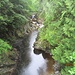 Hübsche Klamm im Wald von Coed y Brenin