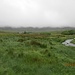 Im flachen, aber mühsamen Moorland auf dem Weg zum Craig Ddrwg. Auf meiner 4. Etappe soll Manches noch anders kommen, als geplant ...
