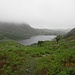 ... dann dieser Anblick - Llyn Cwrm Bychan