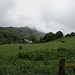Cnicht - das "Matterhorn von Wales", leider hinter Wolken
