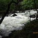 Das letzte Wegstück nach Beddgelert führt mich spektakulär entlang des Ufers des Afon Glaslyn