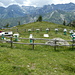 Giardino del Cielo e del Tempo - Lago Muffè