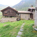 Chardonney