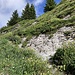der Schlussanstieg zum Grat wird steiler ...