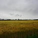 weites Land