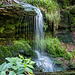 Nach ca. 100 m steil-blockig-botanischer Wurschtelei das erste Überraschungsmoment des Tages: oben fliesst über eine Buntsandstein-Stufe einer kleiner Wasserfall, gute 2 m Fallhöhe hat er, namenlos ist er. Schön, wie er das Gestein freigeschliffen hat.