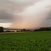 Regenfront im Abendlicht über dem Wollmatinger Ried