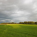 bei Hinterhomburg, Regenfront überholt mich von rechts
