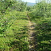 Beginn der Wanderung am anderen Morgen