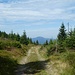 Gleicher Rückweg über Lackenbergsteig mit Blick auf den Arber.