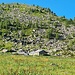 <b>Passo nei pressi dell’Alp Sut Fuina (1873 m) sotto lo sguardo pungente di due cani da pastore maremmani abruzzesi. Per mia fortuna non escono dal recinto dell’alpeggio.</b>
