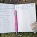 <b>Un caro saluto a tutti gli amici di Hikr.org dal Piz Settember.</b>