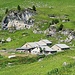 <b>Alp Lambegn (2060 m).</b>