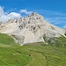 <b>Alp Andies.</b>