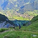 Ende gut, alles Grindelwald