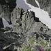 Tiefblick in die Rinne