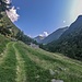 Selva