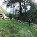 Selva - Baita Pusterla