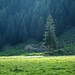 Agriturismo Piano delle Ortiche
