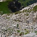 Tiefblick zum Auenfelder-Horn-Sattel