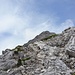 Zwischendurch flacht der Anstieg nochmals ab, bevor die letzten 60, 70 Höhenmeter wieder mehr (leicht) geklettert wird