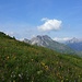 Blumenwiese