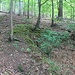 Stollenanschnitt, verwischte Bergbauspuren bei Dorfhain
