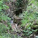 Unterer St. Michaelis Stolln, mit Beton verwahrtes Mundloch