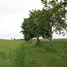 Kirchweg nach Höckendorf