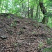 Richtschacht, Halde