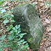 Kurfürstlich Sächsischer Forstgrenzstein 120 von 1735
