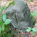 Kurfürstlich Sächsischer Forstgrenzstein 120 von 1735