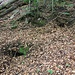 Lorenzsteig, bergbauverdächtige Hohlräume