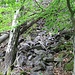 Haldensturz