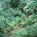 Steile Rinne, Abbaue der Grube Faule Laus, entweder im Tagebau oder durch Tagebruch von Strossenbauen entstanden