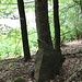 Glück gehabt, aufgehaltener Felsbrocken - unten ist die Talstraße!