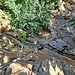 ...helfen Klammern hinab auf die erste Stufe des Steinbruchs.<br />