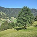 Ausblick von Halte, Pt. 1133 nach St. Stephan/Ried