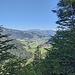 Ausblick aus dem Mulebergwald das Simmental hinunter